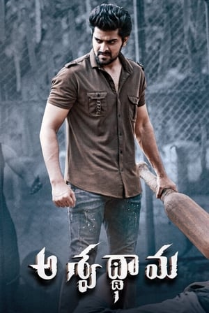 Aswathama 2020 (Hindi – Telugu) Dual Audio 340MB