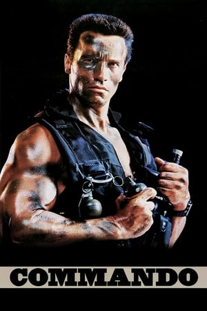 Commando (1985) Hindi Dual Audio [700MB]
