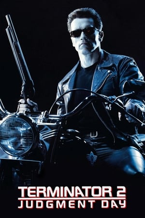 Terminator 2 (1991) Hindi Dual Audio 500MB